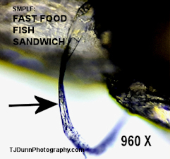 Fast food fish microplastic fiber